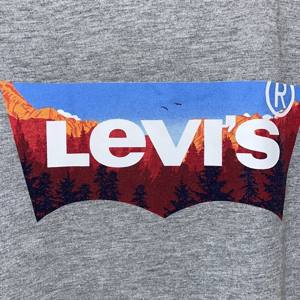 Levi’s graphic tee